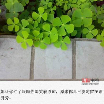 头像植物文字图片