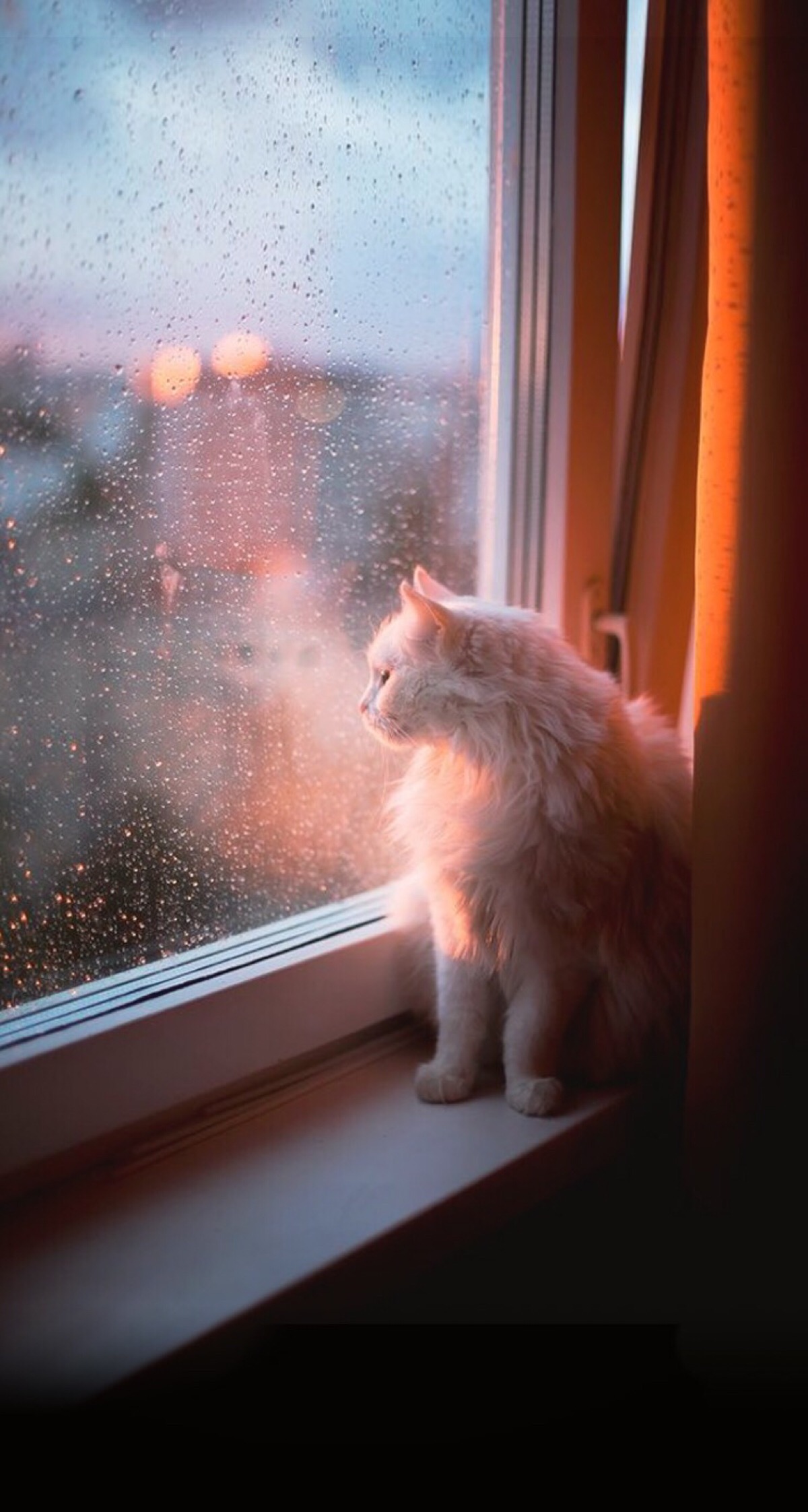 its raining下雨了 壁纸