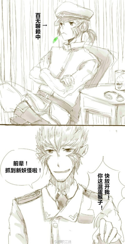 最帅猴哥