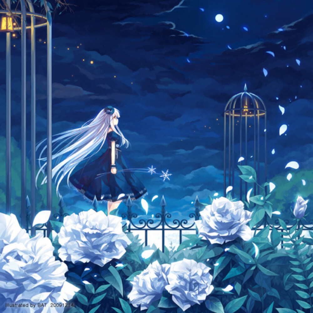 银发 少女 唯美 浪漫 蔷薇