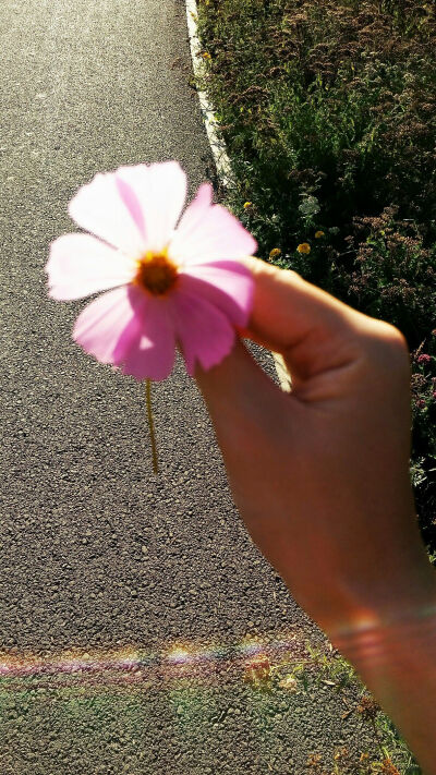 花折断 