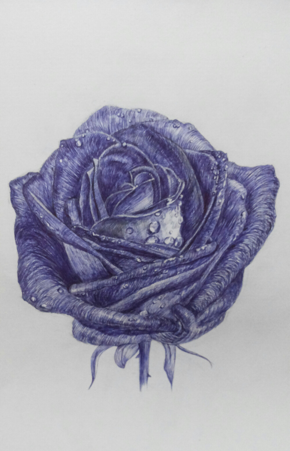 玫瑰圆珠笔手绘图片图片