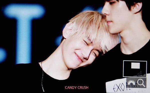 exo 边伯贤吴世勋