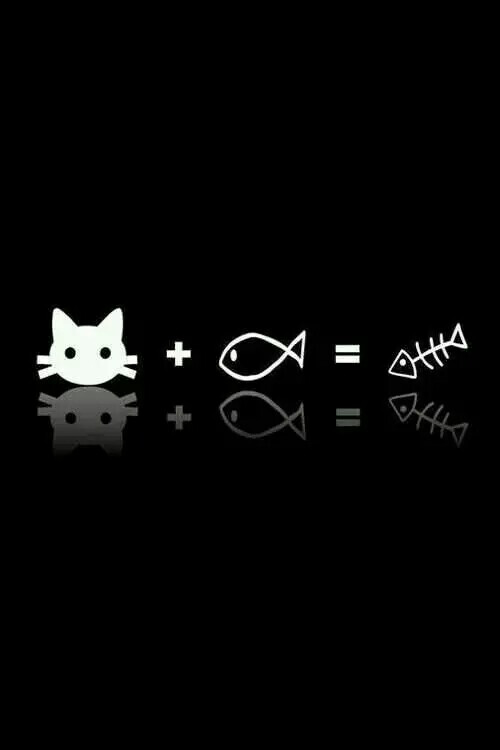 猫吃鱼 - 堆糖,美图壁纸兴趣社区