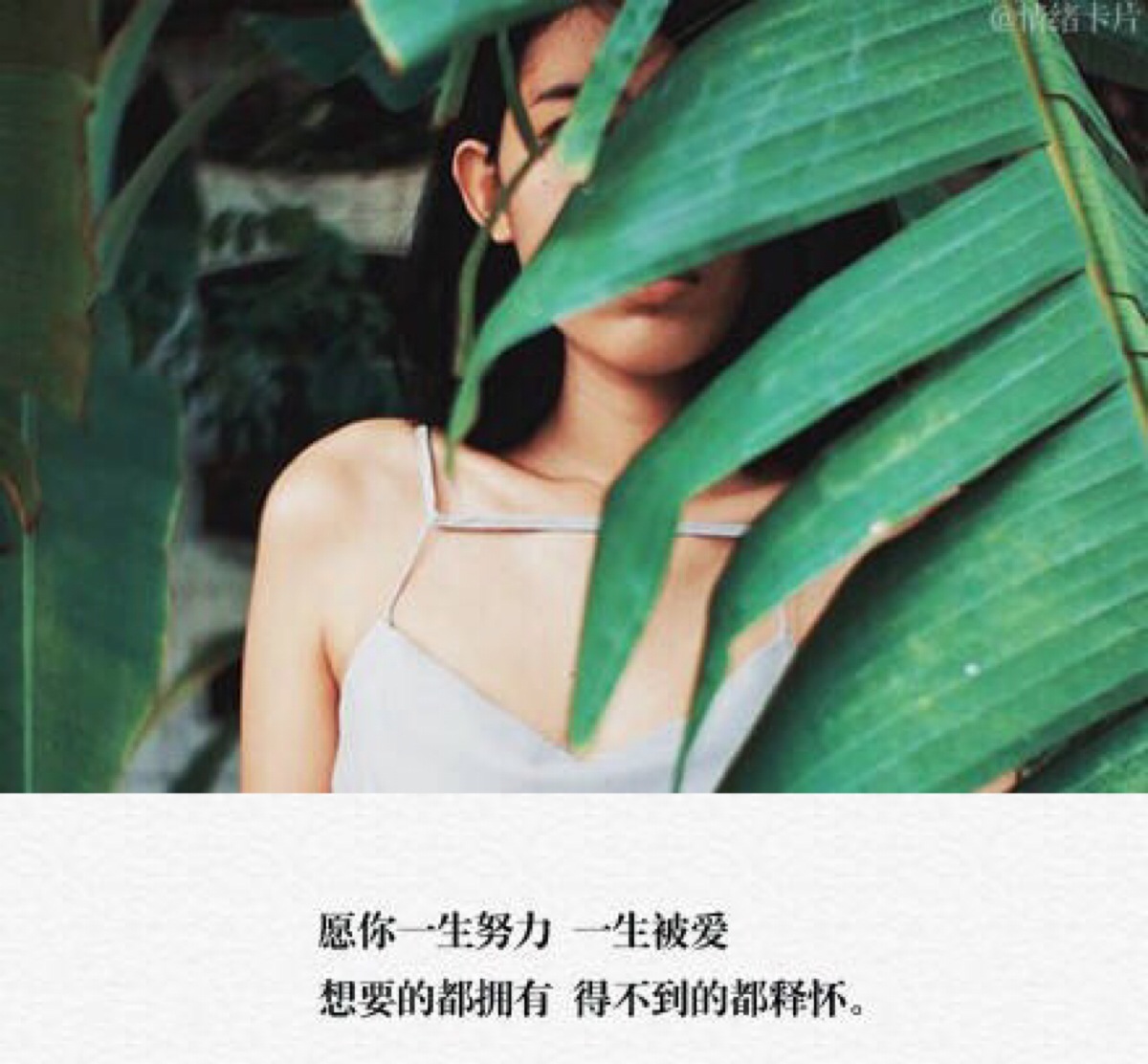 得不到的都释怀