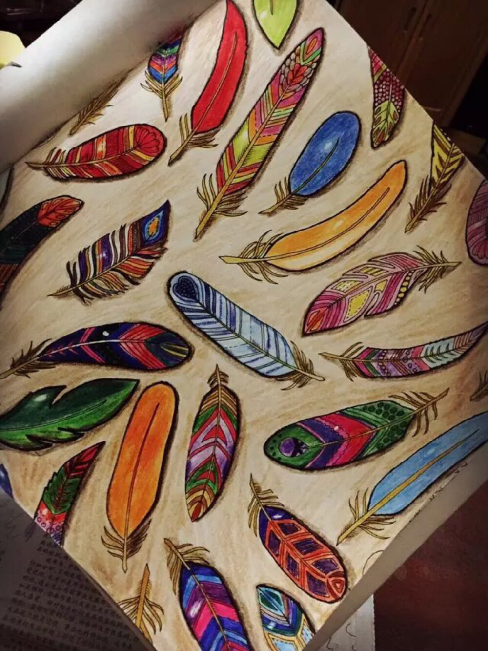 魔法森林里,涂画出的高贵华丽羽毛,艳丽多彩的羽毛!