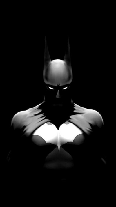 黑白砖访蝙蝠侠图片