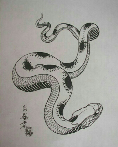 画蛇 全身图片