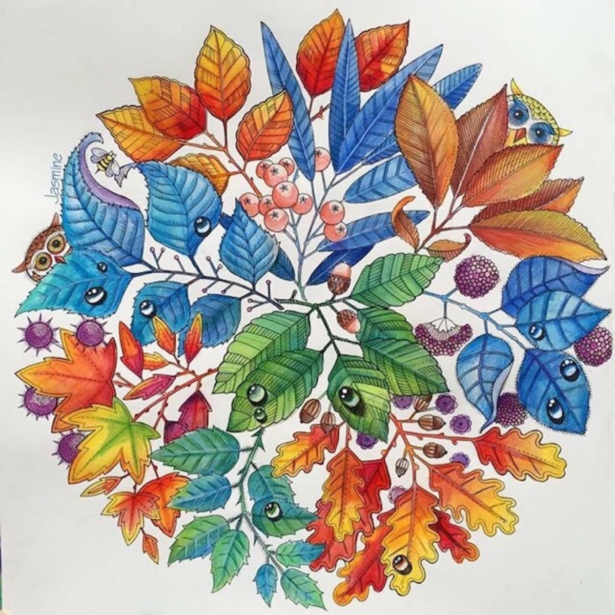 秘密花园简单好看