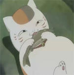 78【夏目友人帐】猫咪老师,二次元,动态,gif