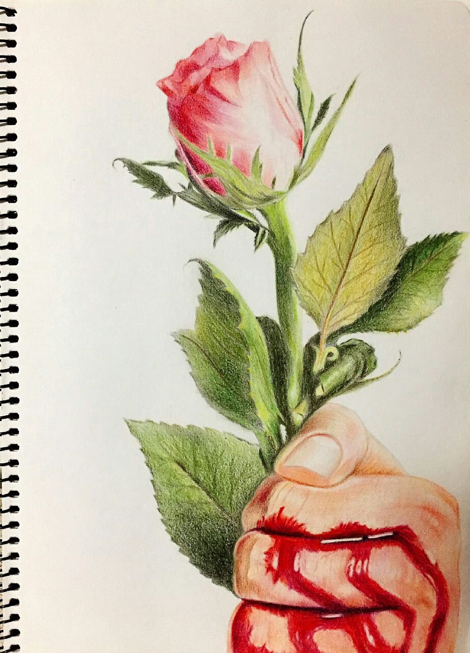 手抓住玫瑰出血的图片图片