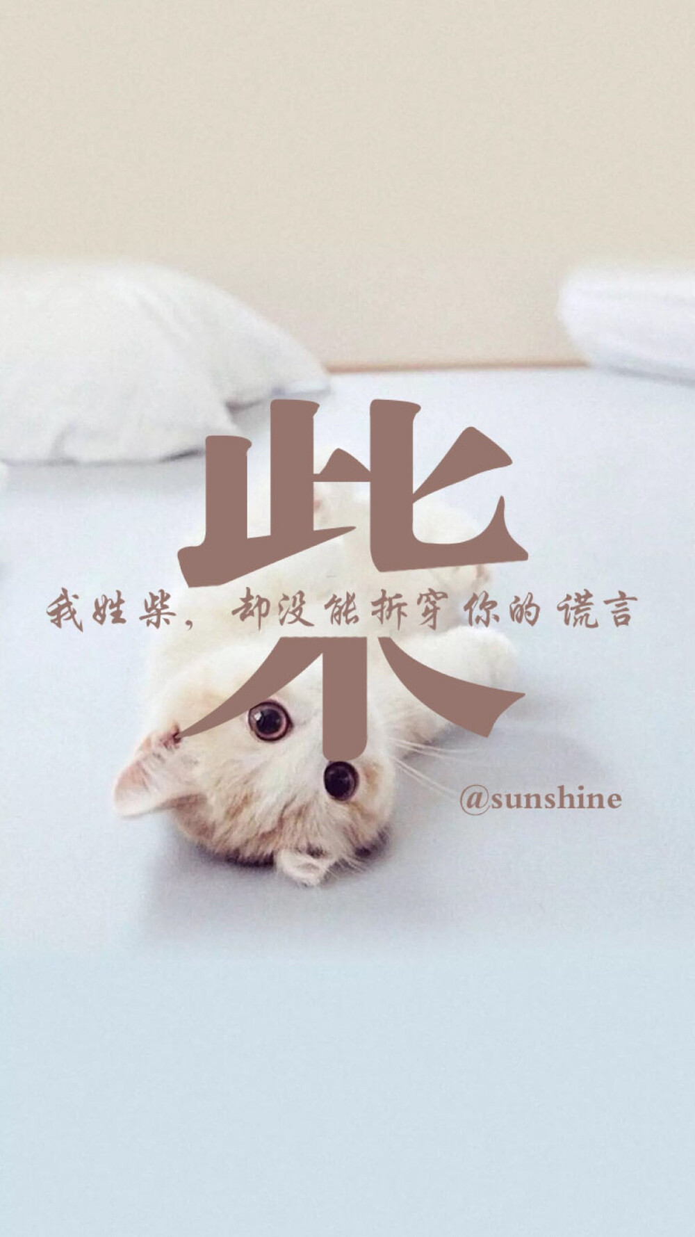 我姓柴 柴氏壁纸 姓氏