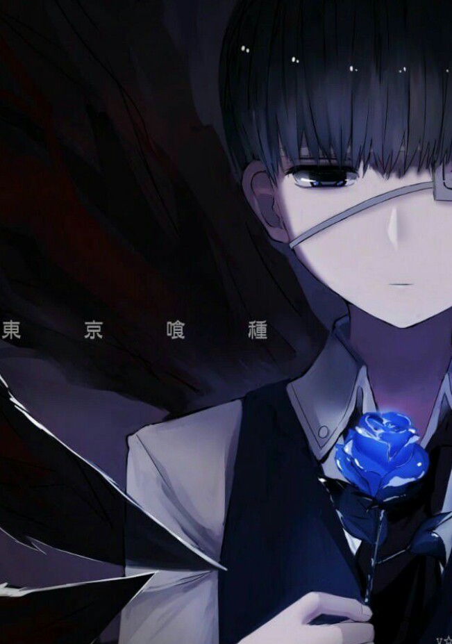 《东京喰种》kanekiken