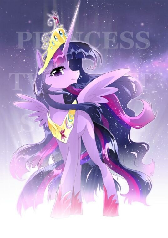 小马宝莉 我的小马驹 mlp
