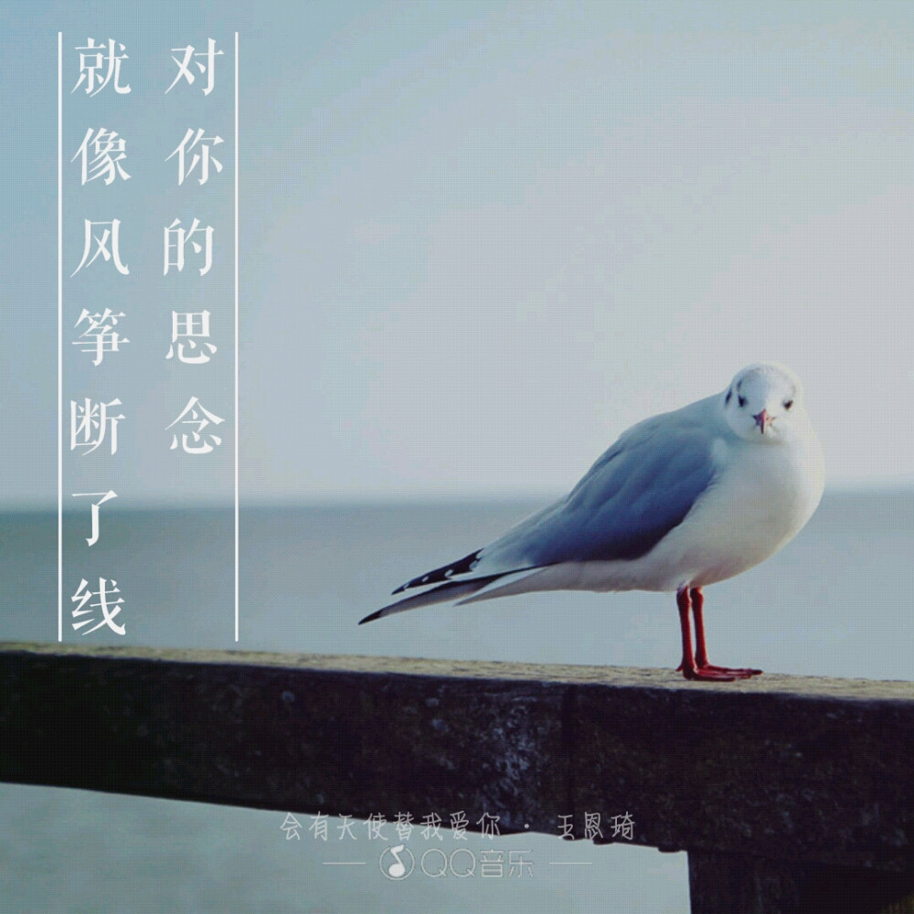 文字 短句 爱情 伤感 壁纸 键盘 歌词