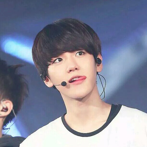 边伯贤小可爱出道早期