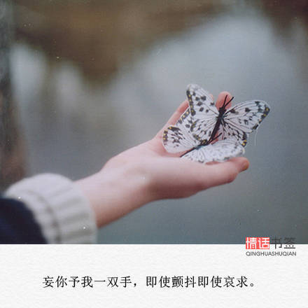 文字句子图片##治愈##青春#励志##唯美##壁纸##头像##by情话书签