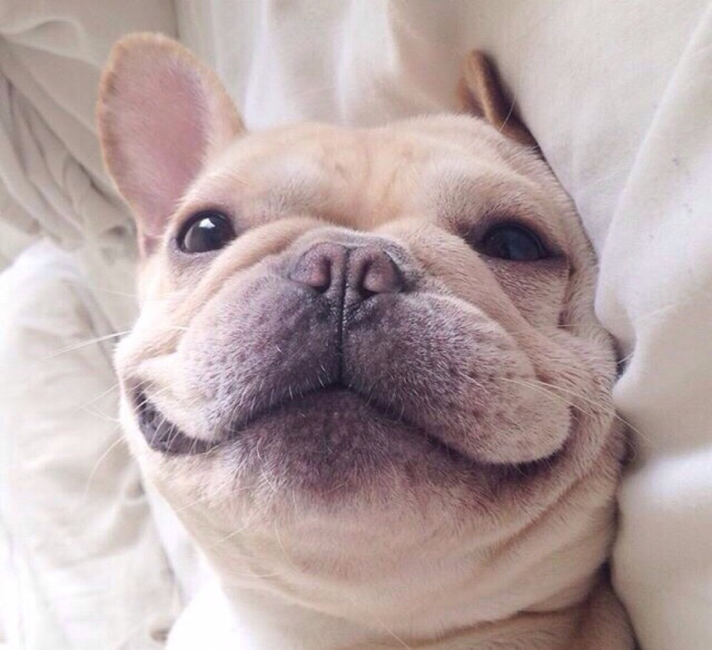 丑萌丑萌的表情包