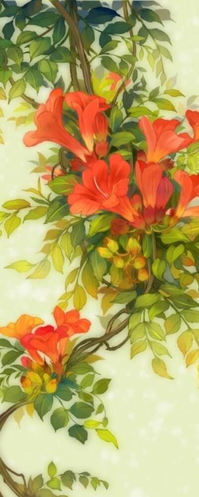花朵- 堆糖,美图壁纸兴趣社区