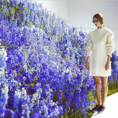 dior 2016春夏系列 薰衣草花园