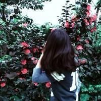 女生头像背影森系