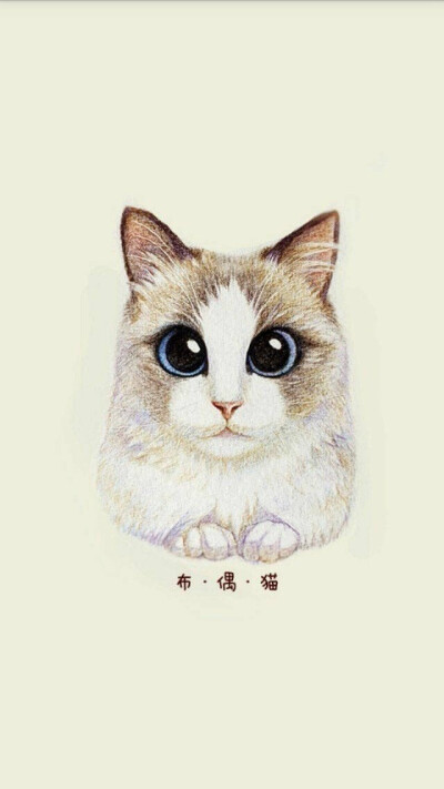 萌 可爱 壁纸 头像 治愈 q版 萌物 萌宠