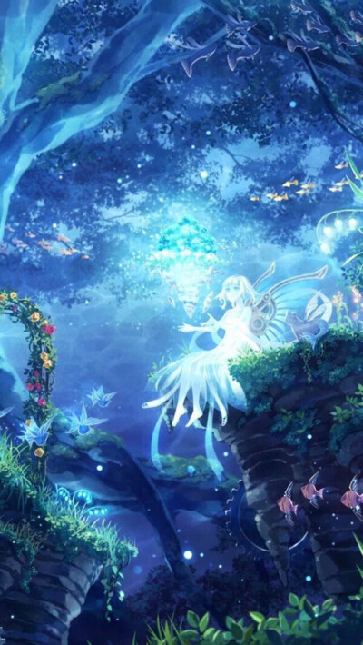 星语星愿