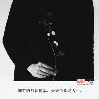 文字控##情话##伤感短句##文字句子图片##治愈##青春#励志##唯美