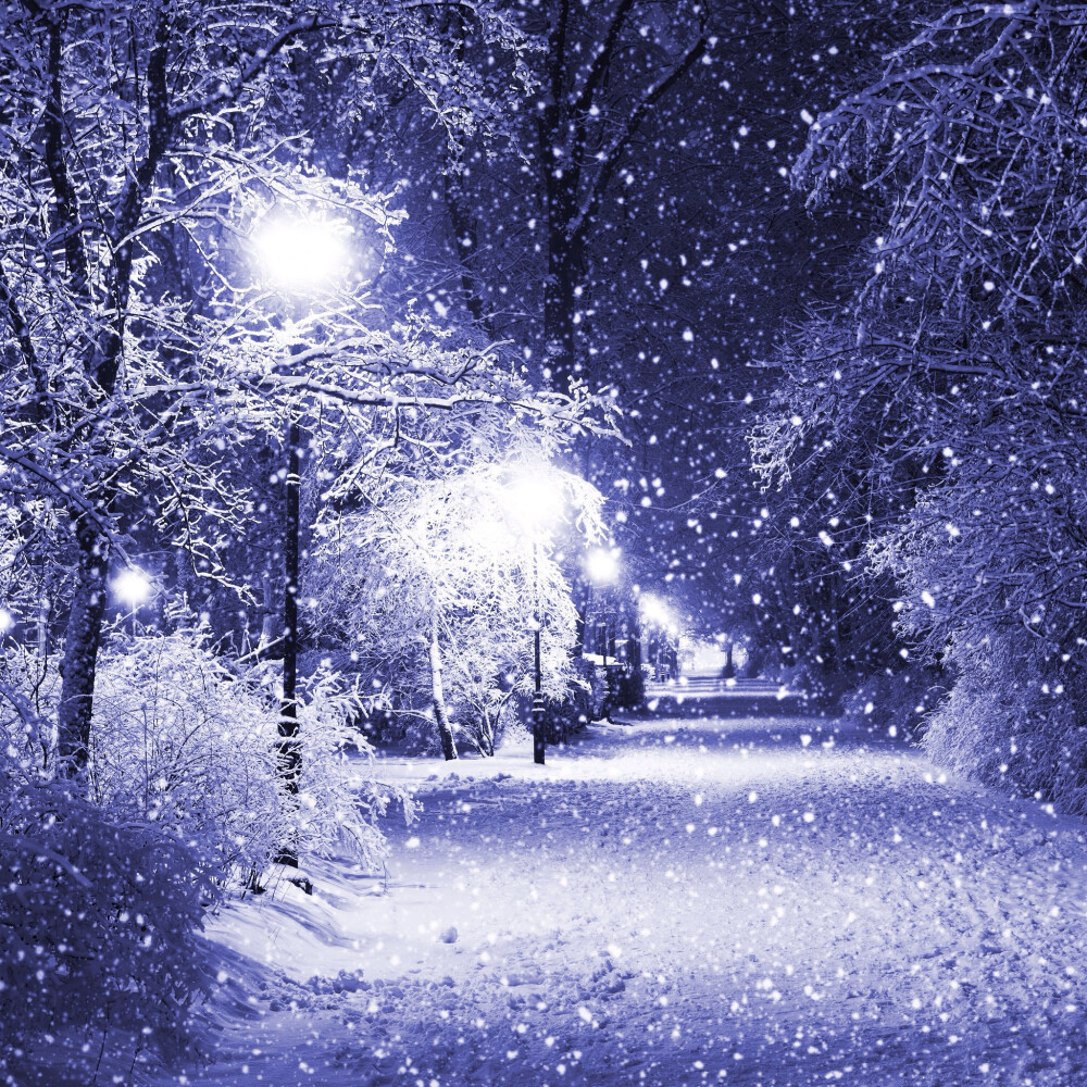 唯美落雪情景图片图片