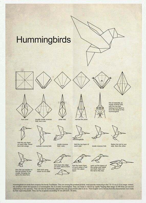 小鸟的折纸步骤图图片