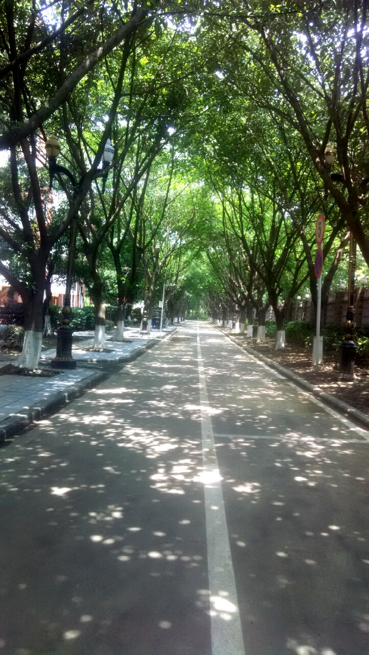 学校- 堆糖,美图壁纸兴趣社区