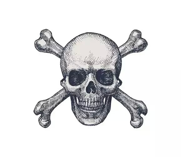 骷颅头 - 堆糖,美图壁纸兴趣社区