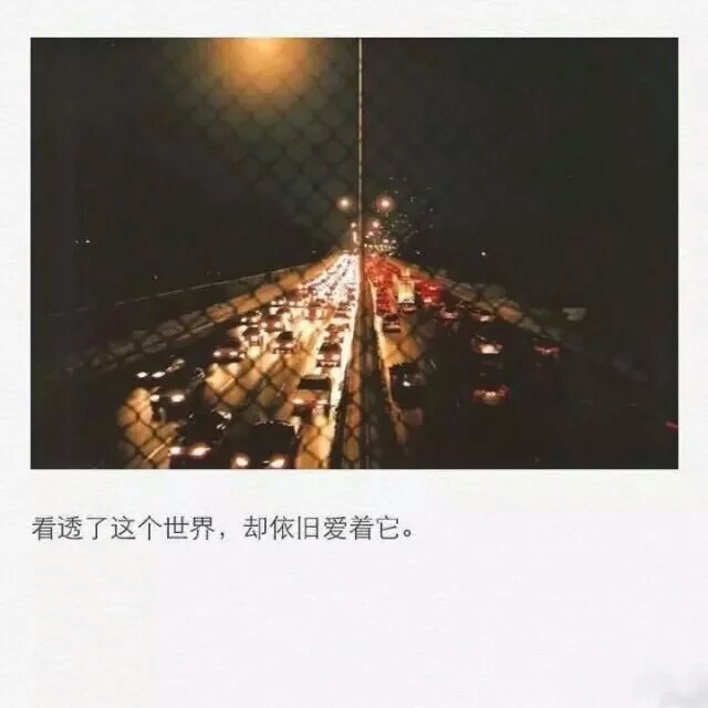 看透了这个世界 却依然爱着它