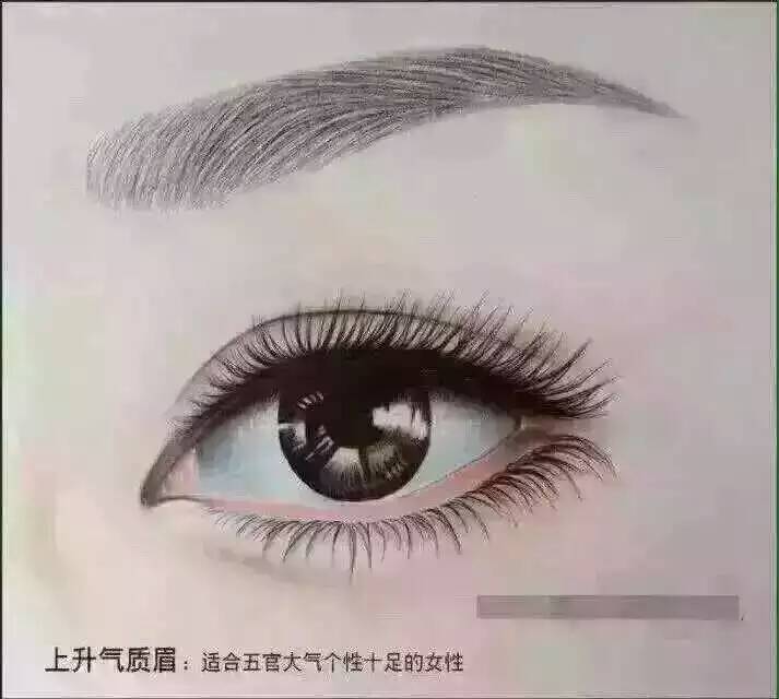眉型图 上升眉!
