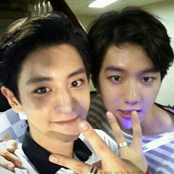 朴灿烈 边伯贤 chanyeol baekhyun 灿白 高清壁纸 来源:微博