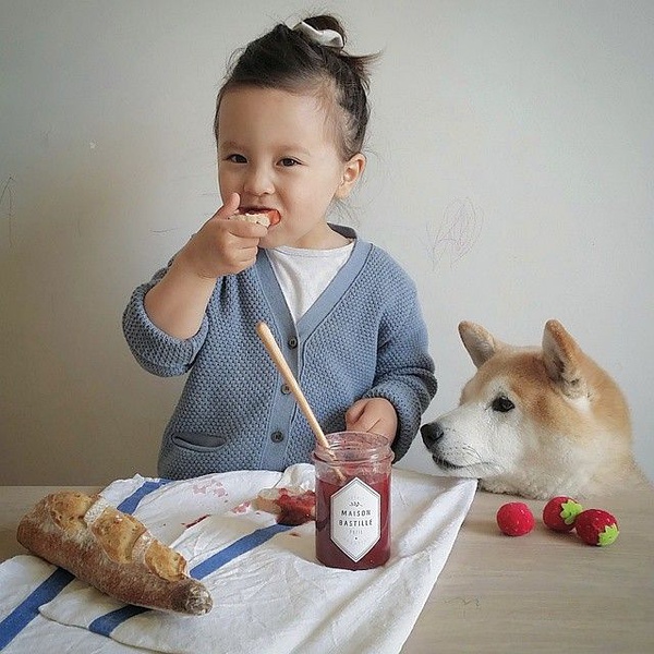 小萝莉 柴犬 宝宝 萌宝 娃娃 小孩 狗狗 宠物 儿童 萝莉 卖萌 可爱