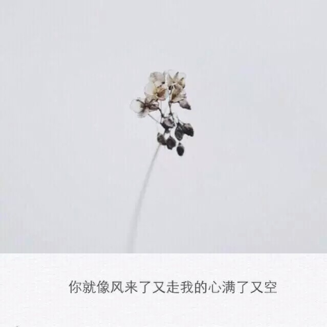 你就像风来了又走我的心满了又空