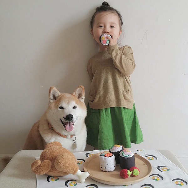 小萝莉 柴犬 宝宝 萌宝 娃娃 小孩 狗狗 宠物 儿童 萝莉 卖萌 可爱