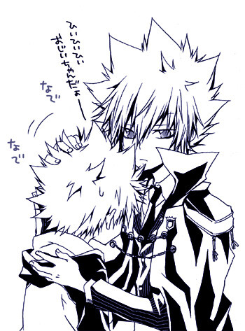 g27 giotto 沢田纲吉