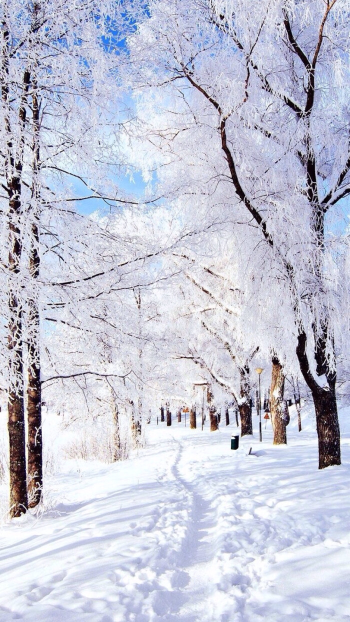 雪- 堆糖,美图壁纸兴趣社区