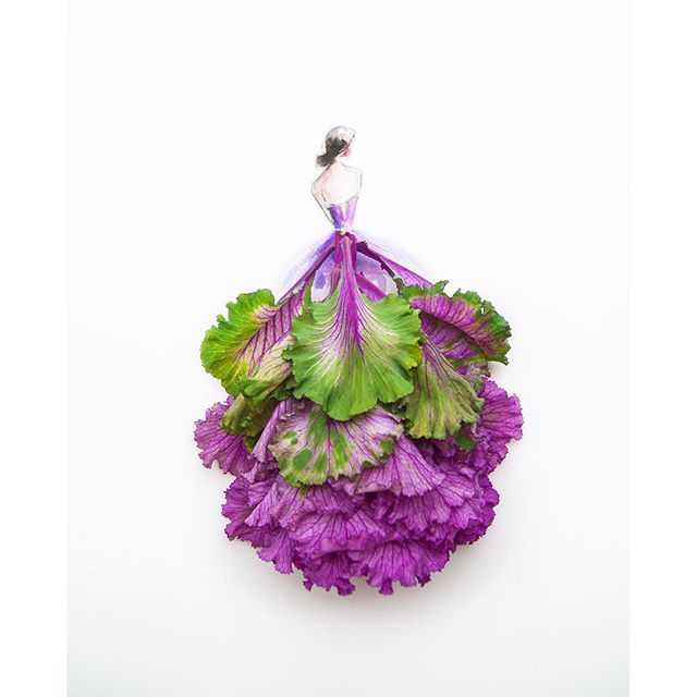 别样花朵(马来西亚艺术家limzy的创意花卉插画作品)