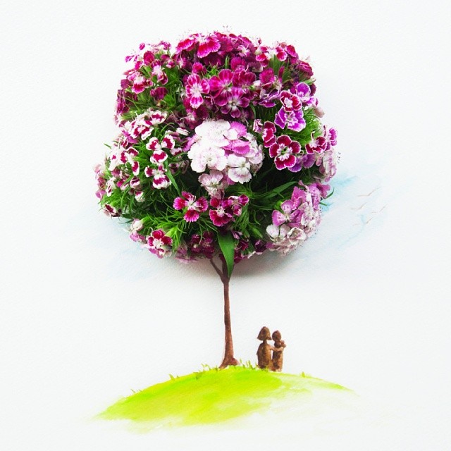 别样花朵(马来西亚艺术家limzy的创意花卉插画作品)