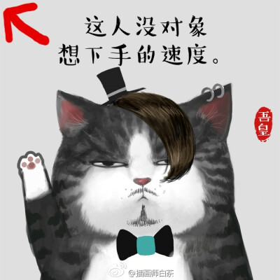 吾皇与巴扎黑