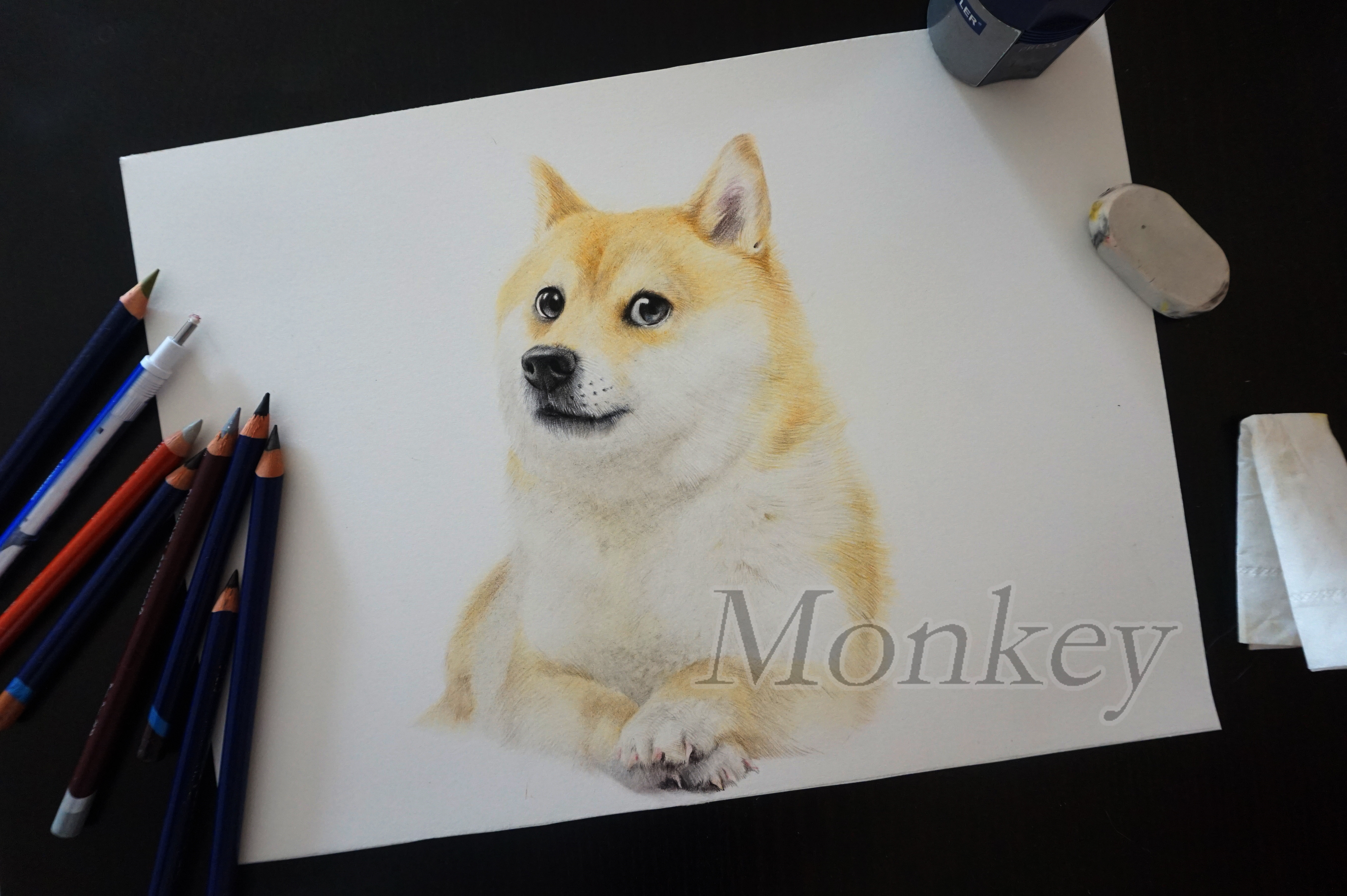 柴犬彩铅画手绘图片