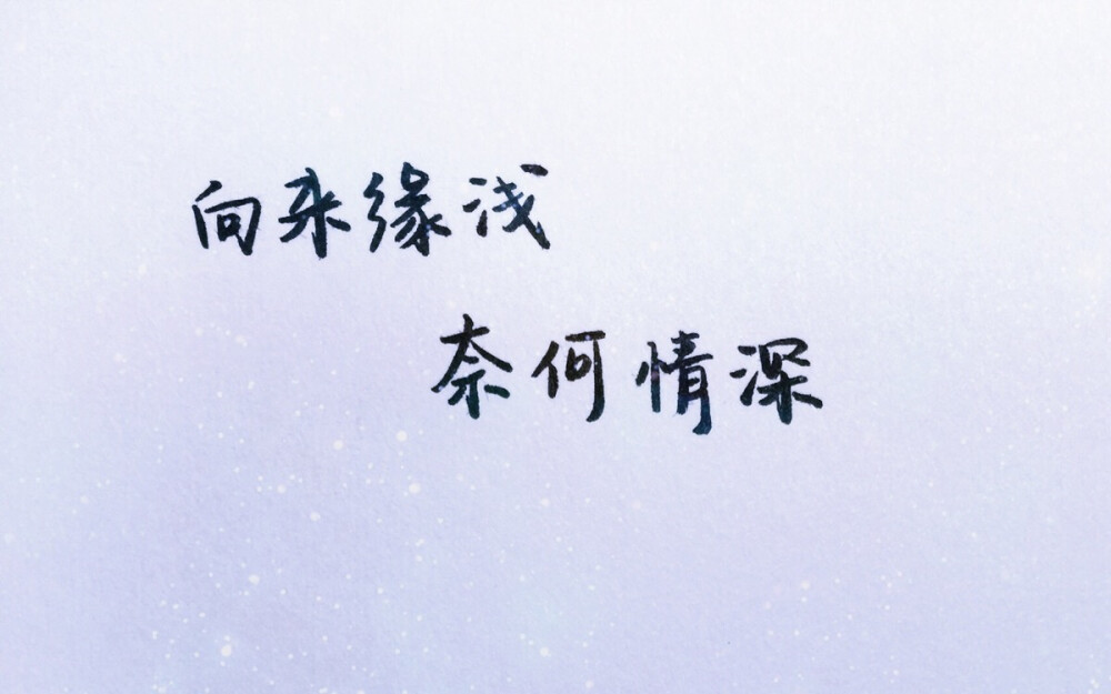 文字向来缘浅奈何情深