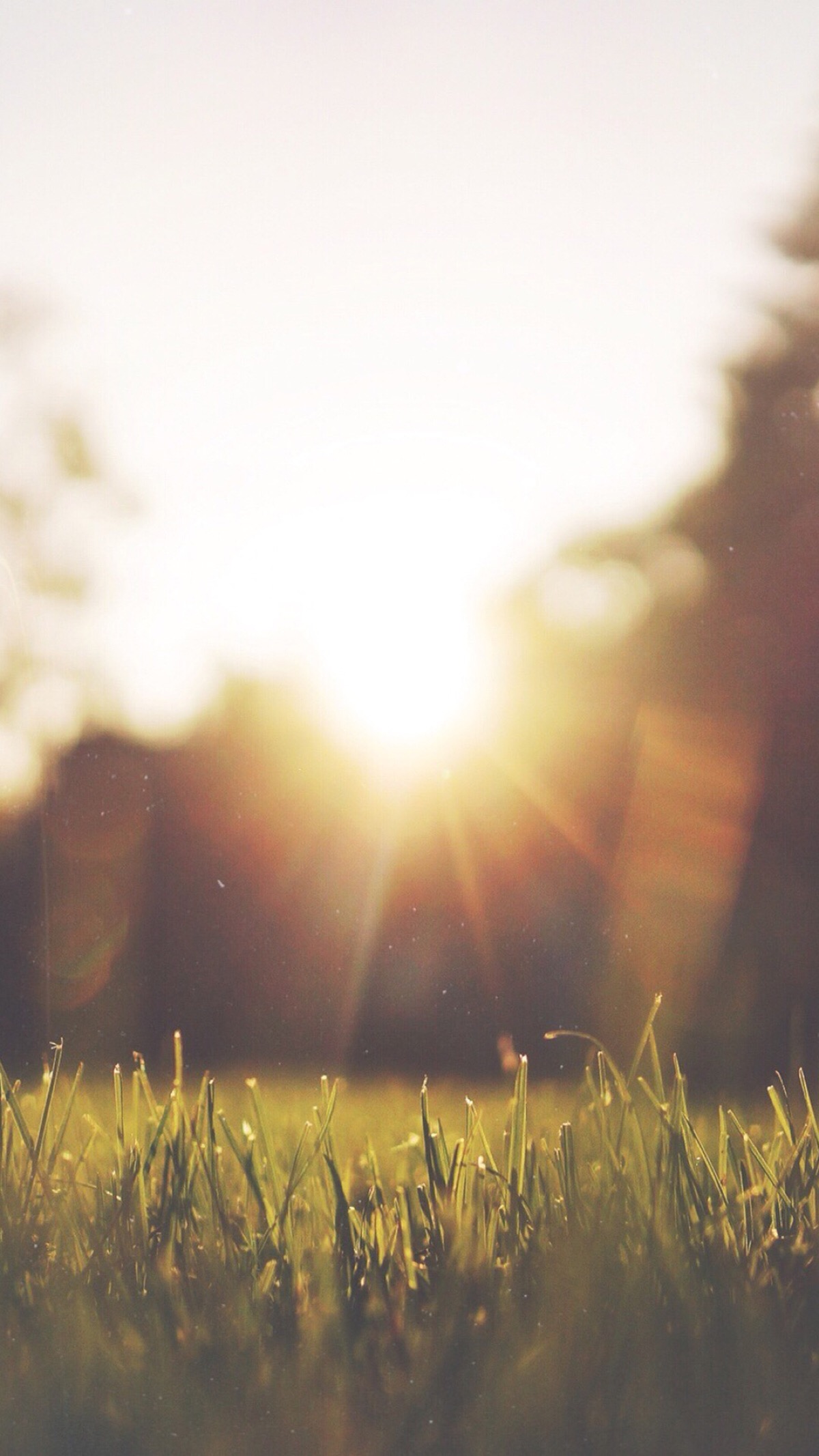 冬天里最美的阳光!