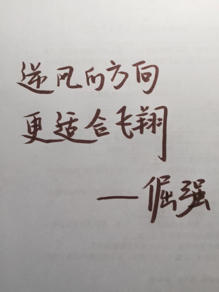励志语录逆风的方向更适合飞翔