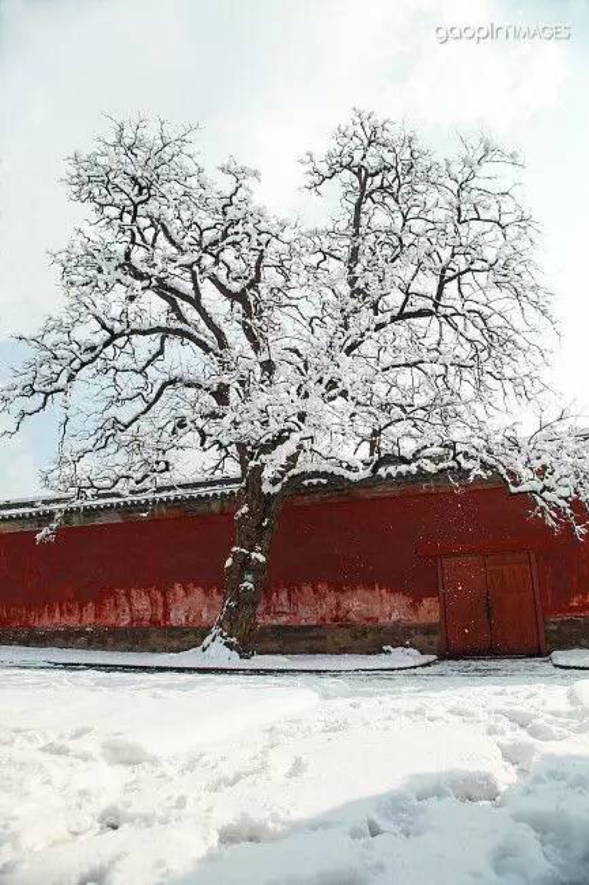 一下雪,北京就成了北平