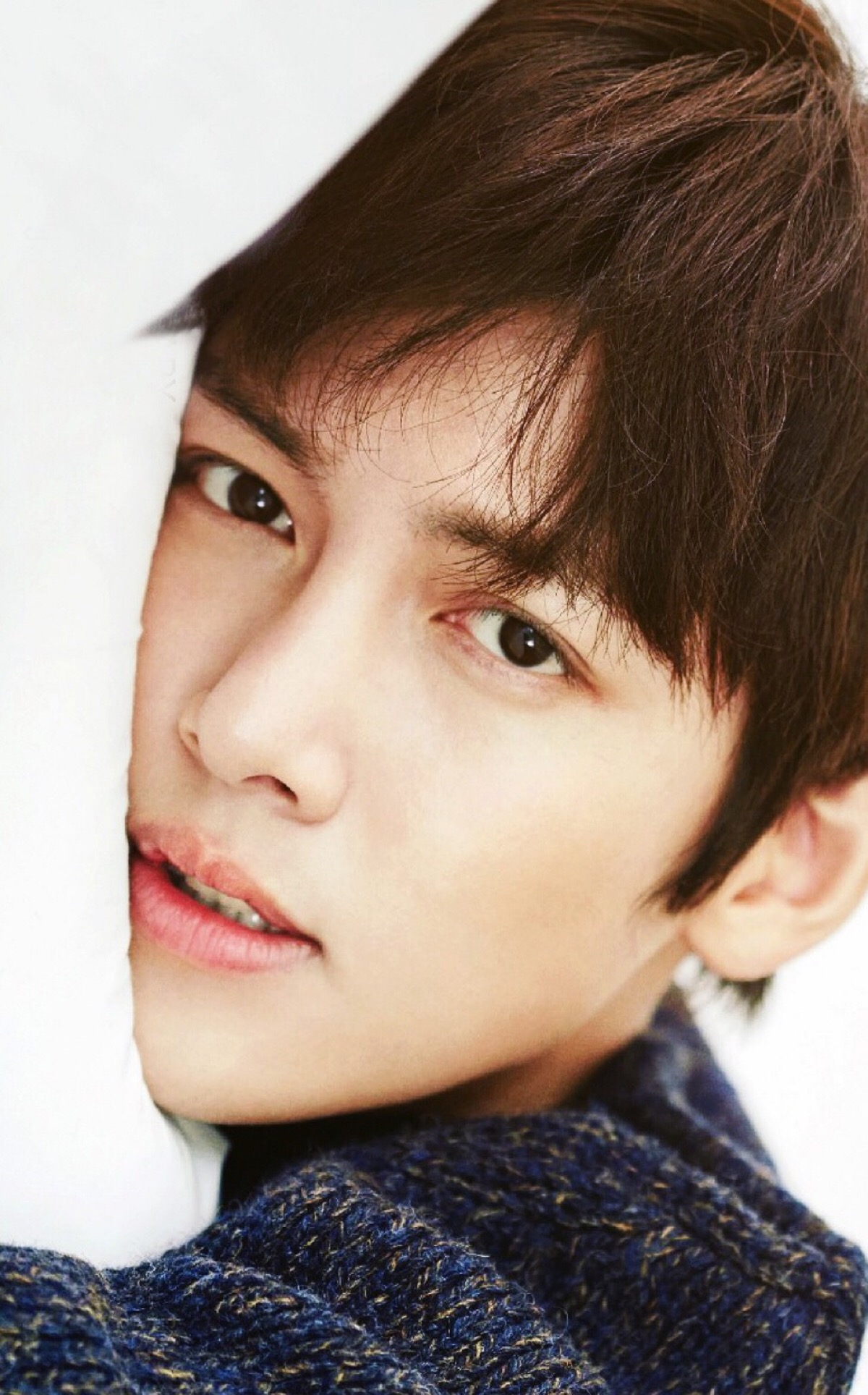 池昌旭 jichangwook my love 陪你
