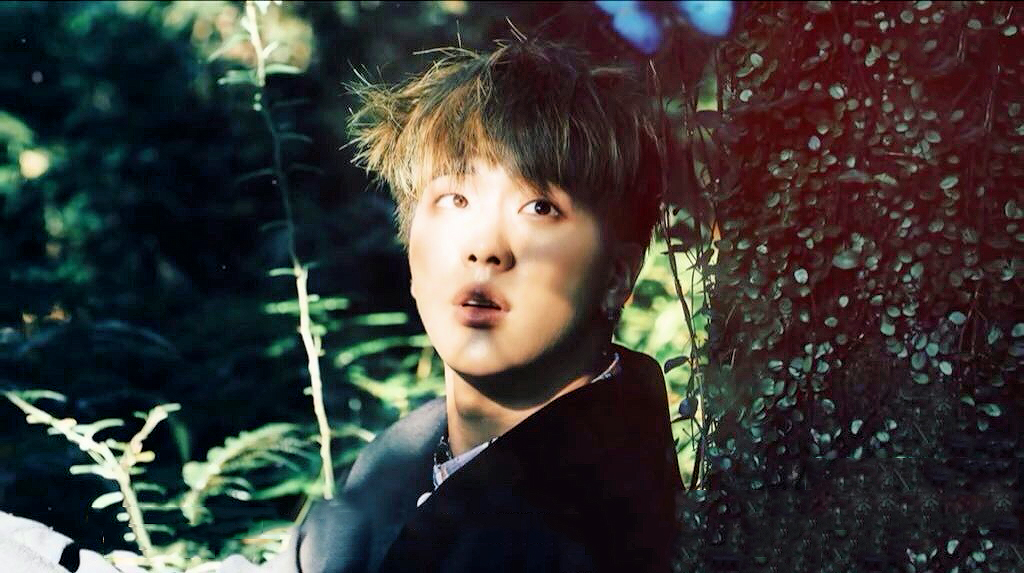 防弹少年团 bts 金硕珍(jin)花样年华 pt.